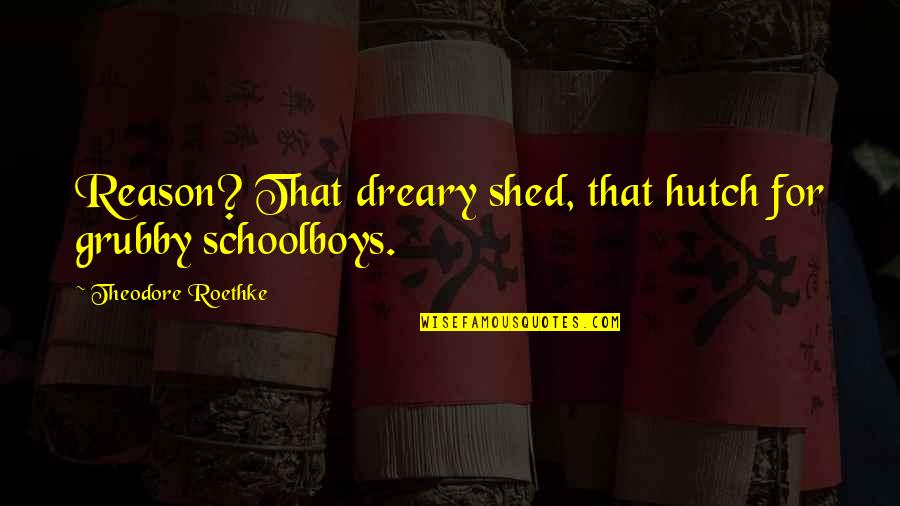 Tatlar Kimlerdir Quotes By Theodore Roethke: Reason? That dreary shed, that hutch for grubby Tatlar Kimlerdir Quotes By Theodore Roethke: Reason? That dreary shed, that hutch for grubby