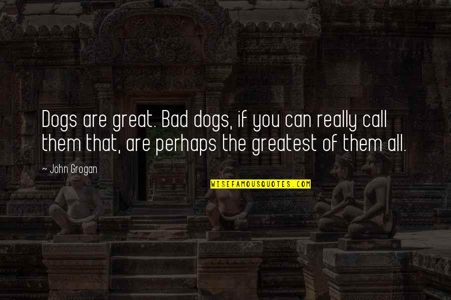 Tatsuhito Saotome Quotes By John Grogan: Dogs are great. Bad dogs, if you can Tatsuhito Saotome Quotes By John Grogan: Dogs are great. Bad dogs, if you can