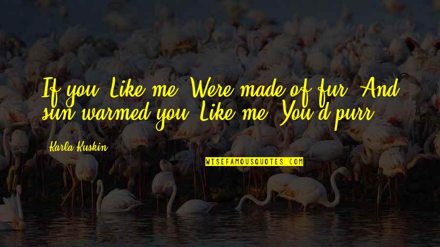 Tatsuhito Saotome Quotes By Karla Kuskin: If you, Like me, Were made of fur,