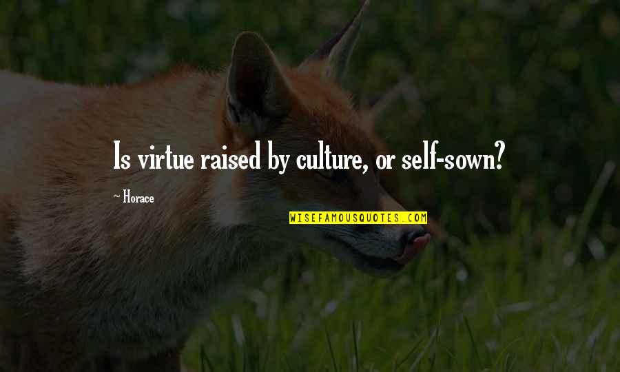 Tatterdemallion Quotes By Horace: Is virtue raised by culture, or self-sown?