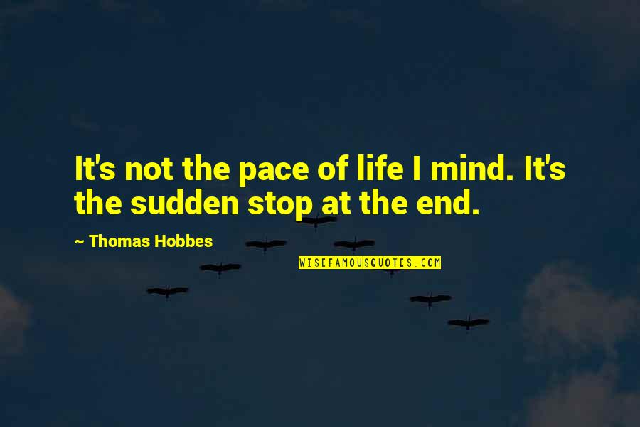 Tattersall Distilling Quotes By Thomas Hobbes: It's not the pace of life I mind.