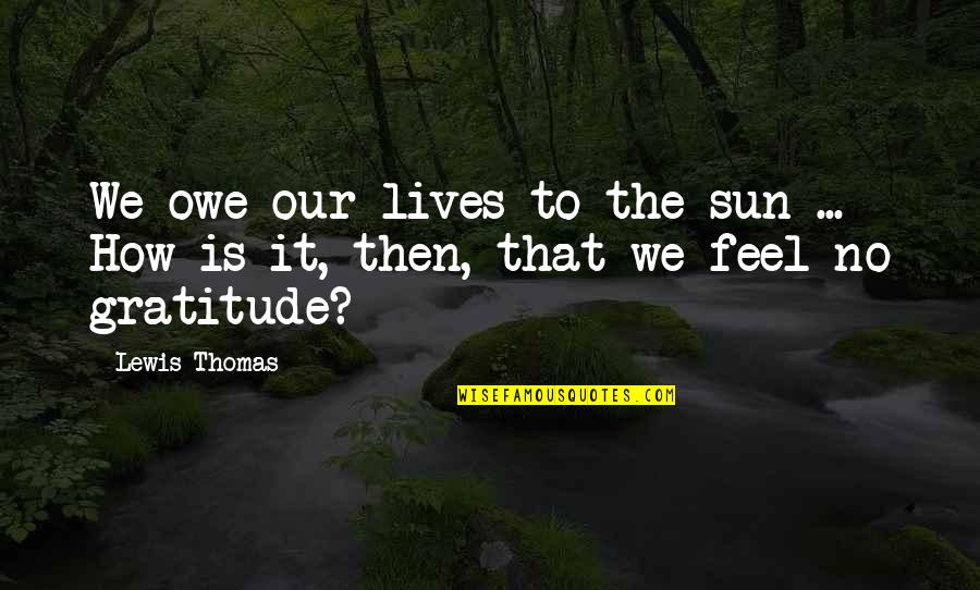 Tattletale Quotes By Lewis Thomas: We owe our lives to the sun ...