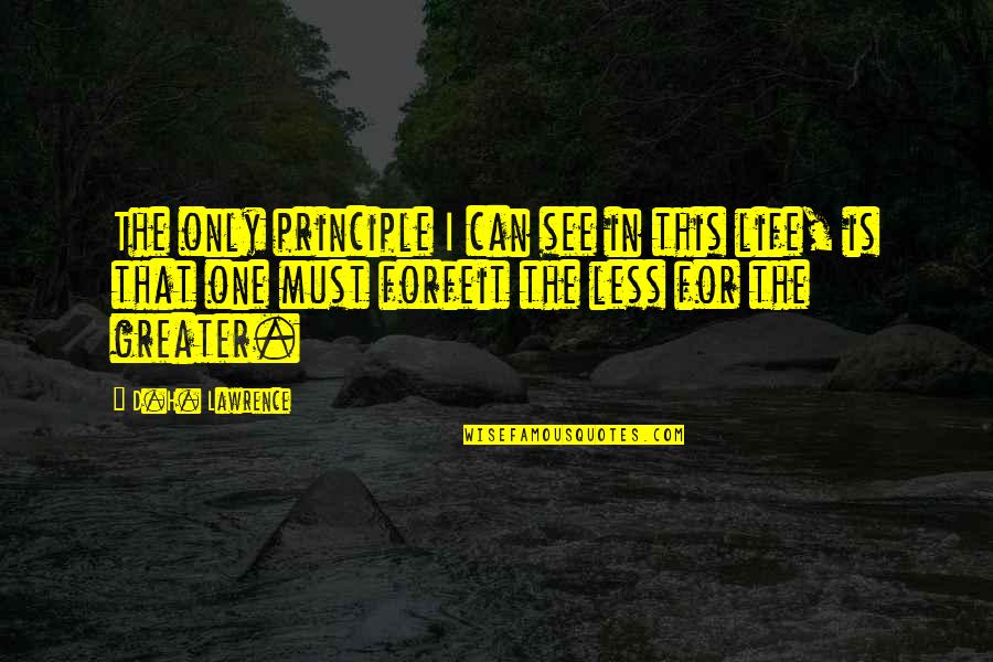 Tauheed O Quotes By D.H. Lawrence: The only principle I can see in this