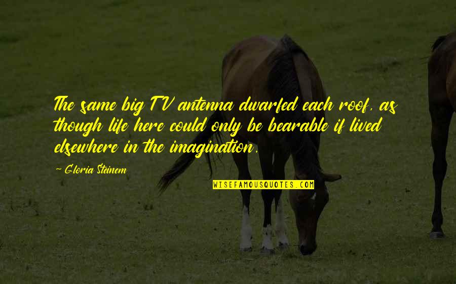 Taunya Jaco Quotes By Gloria Steinem: The same big TV antenna dwarfed each roof,
