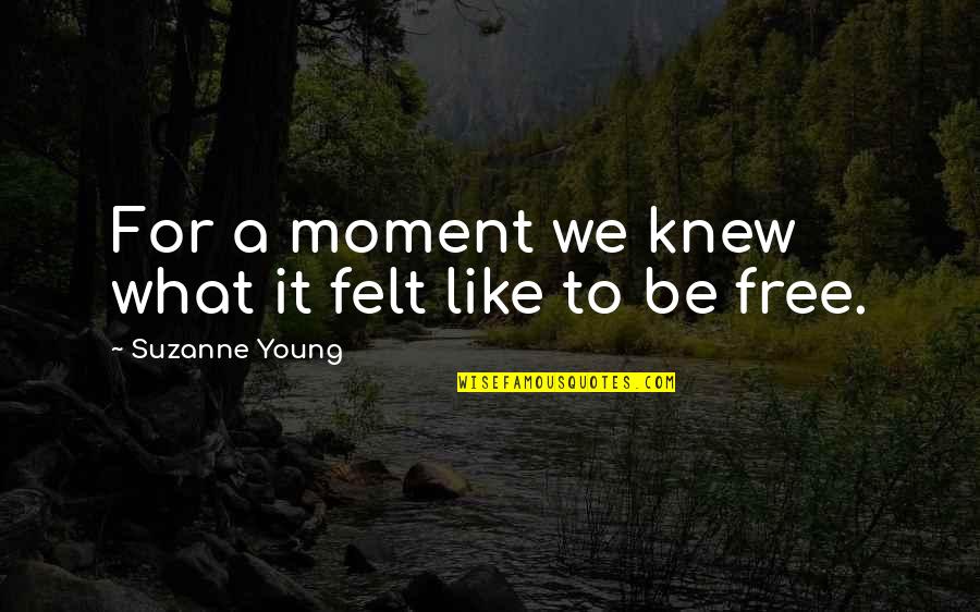 Taupes Vs Greys Quotes By Suzanne Young: For a moment we knew what it felt Taupes Vs Greys Quotes By Suzanne Young: For a moment we knew what it felt