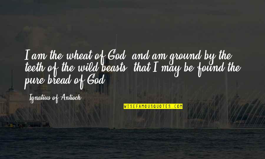 Taurus Traits Quotes By Ignatius Of Antioch: I am the wheat of God, and am Taurus Traits Quotes By Ignatius Of Antioch: I am the wheat of God, and am