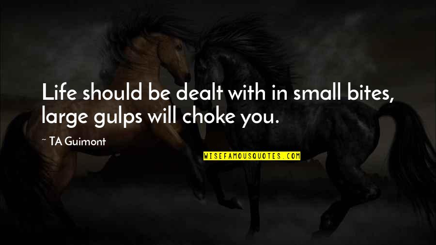 Ta'veren Quotes By TA Guimont: Life should be dealt with in small bites,