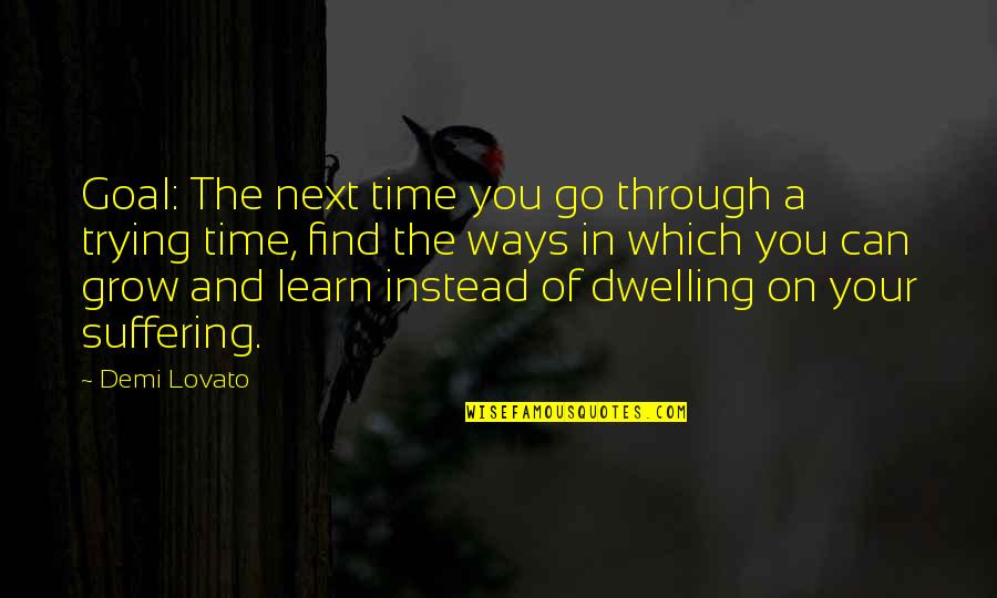 Tavvy Blackthorn Quotes By Demi Lovato: Goal: The next time you go through a Tavvy Blackthorn Quotes By Demi Lovato: Goal: The next time you go through a