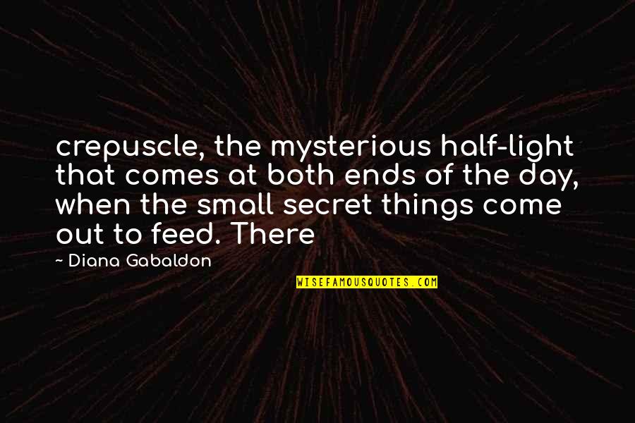 Tawdry Jewelry Quotes By Diana Gabaldon: crepuscle, the mysterious half-light that comes at both