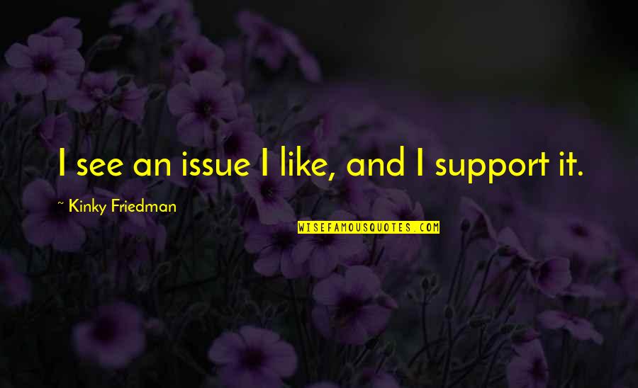 Taweel Lake Quotes By Kinky Friedman: I see an issue I like, and I Taweel Lake Quotes By Kinky Friedman: I see an issue I like, and I