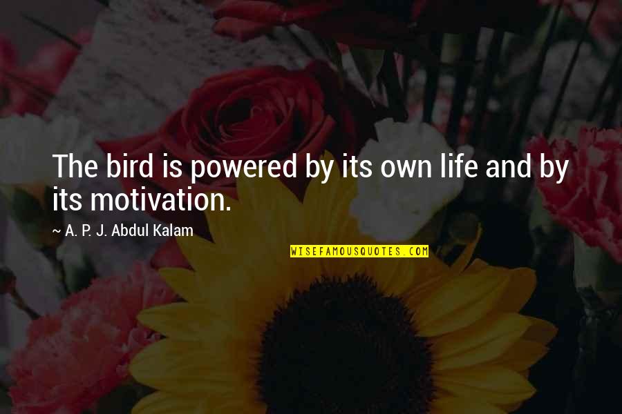 Tawni Katan Quotes By A. P. J. Abdul Kalam: The bird is powered by its own life