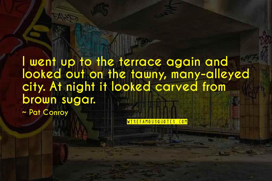 Tawny Quotes By Pat Conroy: I went up to the terrace again and