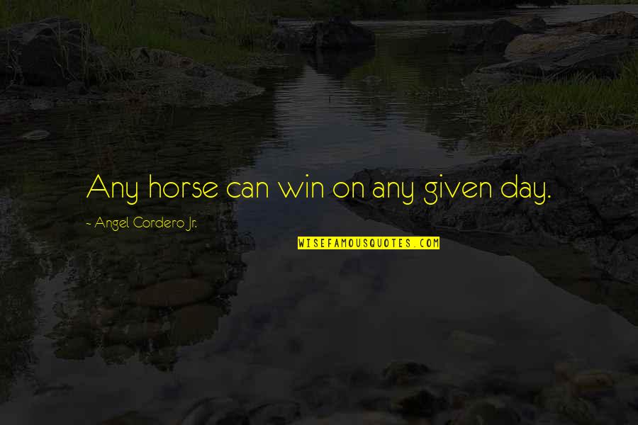 Tax Returns Quotes By Angel Cordero Jr.: Any horse can win on any given day.