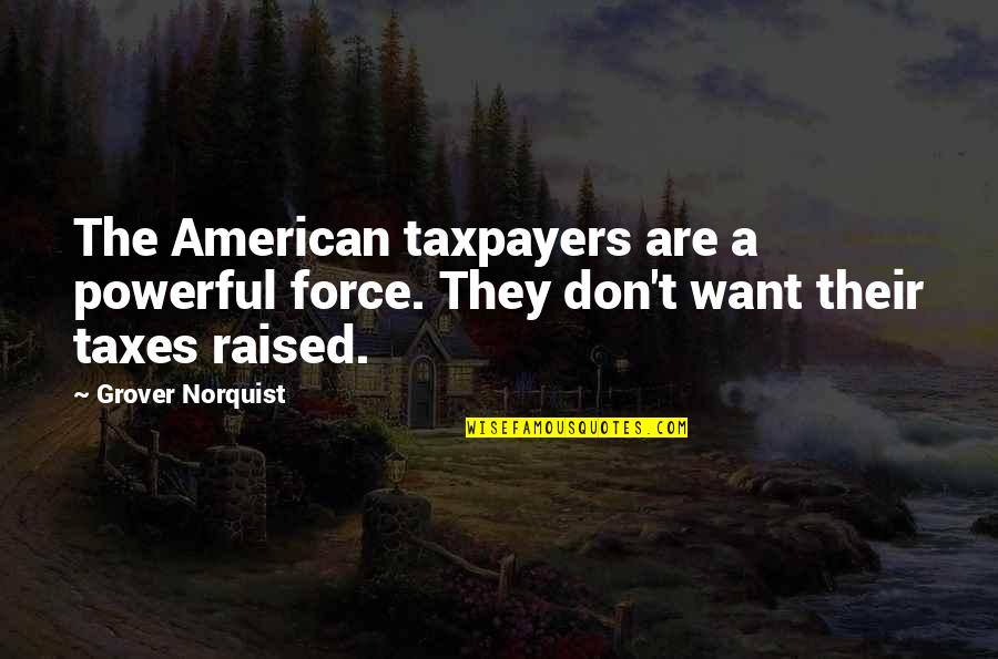Taxes Quotes By Grover Norquist: The American taxpayers are a powerful force. They