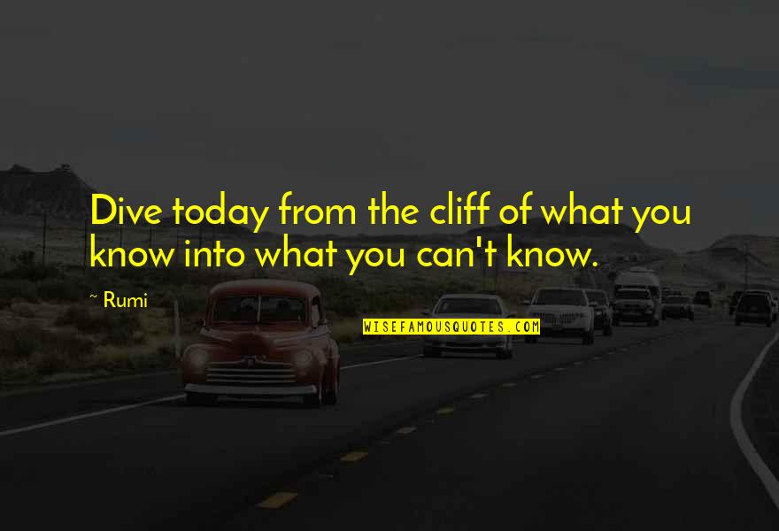 Tayag Quotes By Rumi: Dive today from the cliff of what you