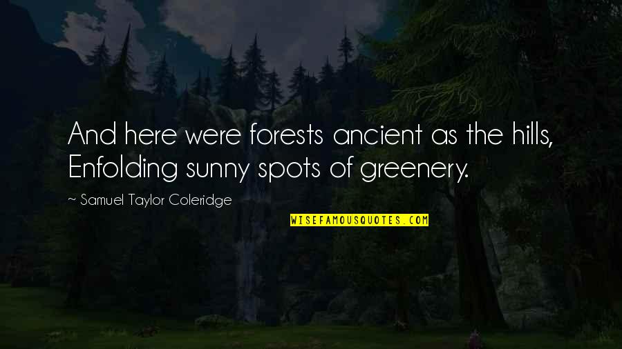 Taylor Coleridge Quotes By Samuel Taylor Coleridge: And here were forests ancient as the hills, Taylor Coleridge Quotes By Samuel Taylor Coleridge: And here were forests ancient as the hills,
