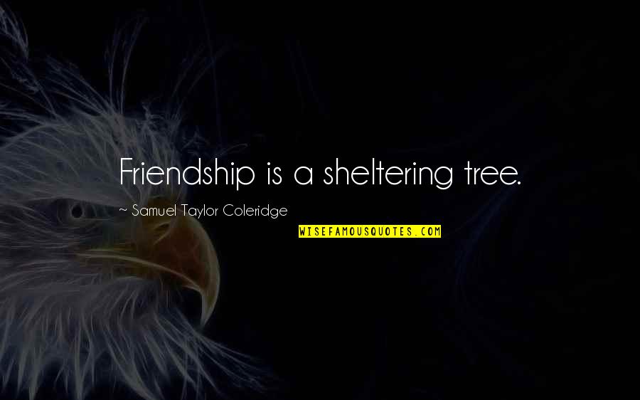 Taylor Coleridge Quotes By Samuel Taylor Coleridge: Friendship is a sheltering tree. Taylor Coleridge Quotes By Samuel Taylor Coleridge: Friendship is a sheltering tree.