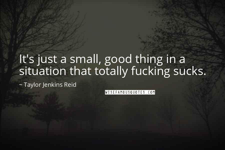 Taylor Jenkins Reid quotes: It's just a small, good thing in a situation that totally fucking sucks.