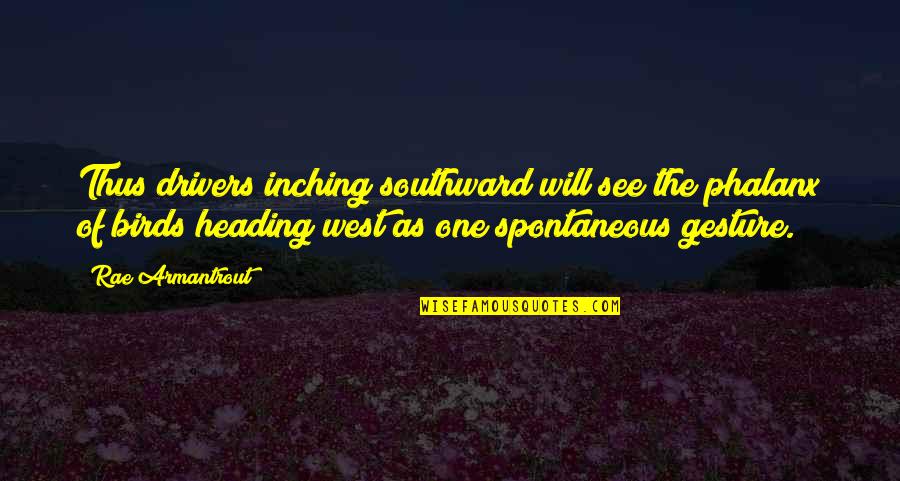 Taylor Swift 1989 Concert Quotes By Rae Armantrout: Thus drivers inching southward will see the phalanx Taylor Swift 1989 Concert Quotes By Rae Armantrout: Thus drivers inching southward will see the phalanx