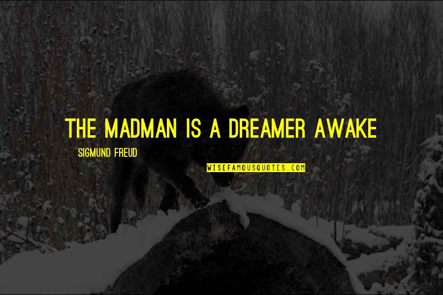 Taylor Swift Grammy Quote Quotes By Sigmund Freud: The madman is a dreamer awake