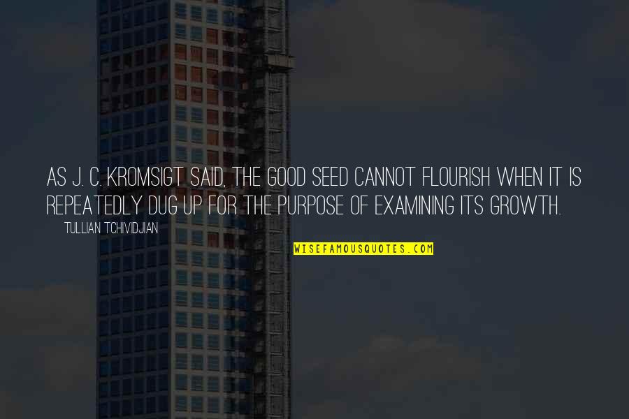 Taylor Swift Invisible Quotes By Tullian Tchividjian: As J. C. Kromsigt said, The good seed Taylor Swift Invisible Quotes By Tullian Tchividjian: As J. C. Kromsigt said, The good seed