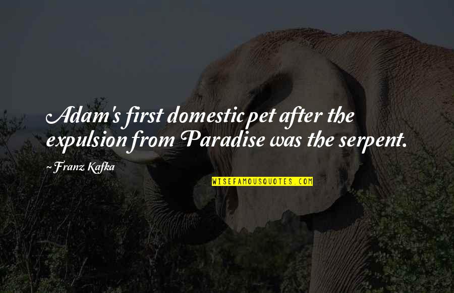 Taysom Hill Quote Quotes By Franz Kafka: Adam's first domestic pet after the expulsion from