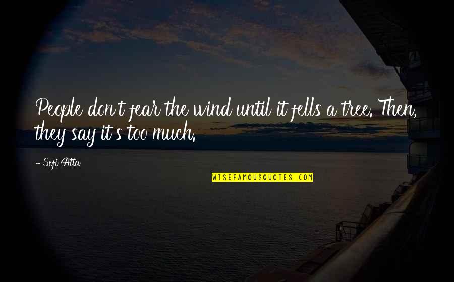 Tchernov Quotes By Sefi Atta: People don't fear the wind until it fells