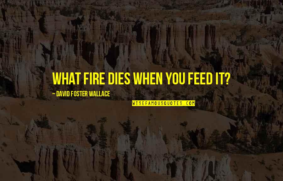 Tchotchka Quotes By David Foster Wallace: What fire dies when you feed it?