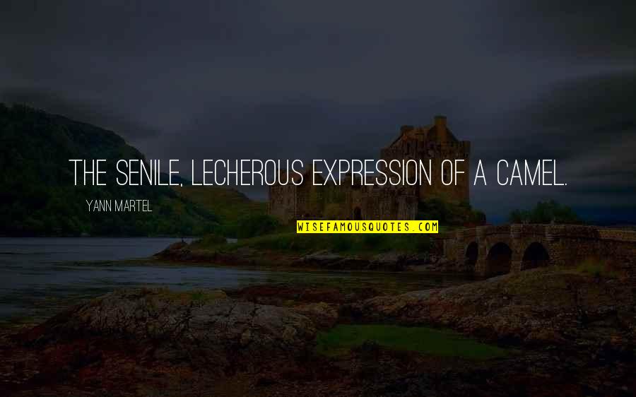Tdun Quotes By Yann Martel: the senile, lecherous expression of a camel. Tdun Quotes By Yann Martel: the senile, lecherous expression of a camel.