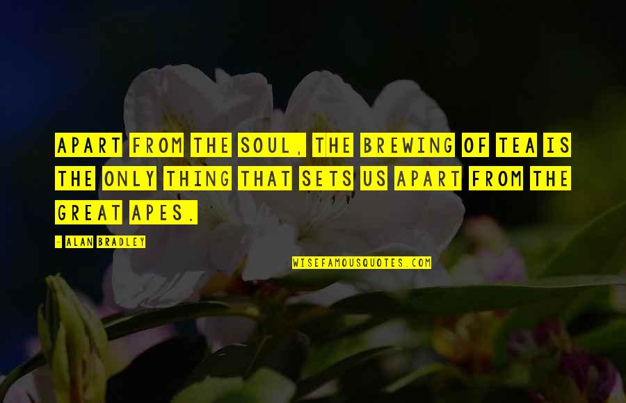 Tea Quotes By Alan Bradley: Apart from the soul, the brewing of tea