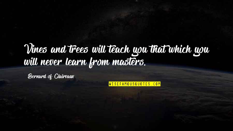 Teach Learn Quotes By Bernard Of Clairvaux: Vines and trees will teach you that which