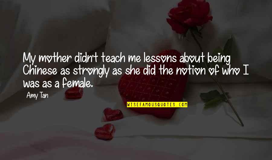 Teach Me Quotes By Amy Tan: My mother didn't teach me lessons about being