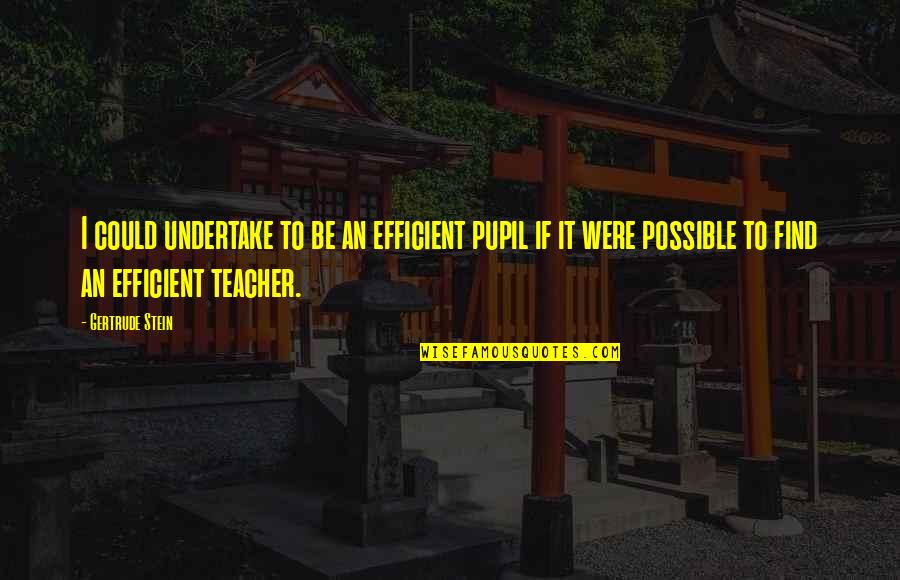 Teacher To Be Quotes By Gertrude Stein: I could undertake to be an efficient pupil
