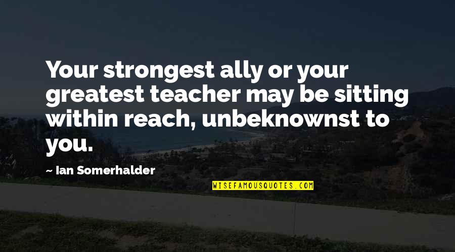 Teacher To Be Quotes By Ian Somerhalder: Your strongest ally or your greatest teacher may