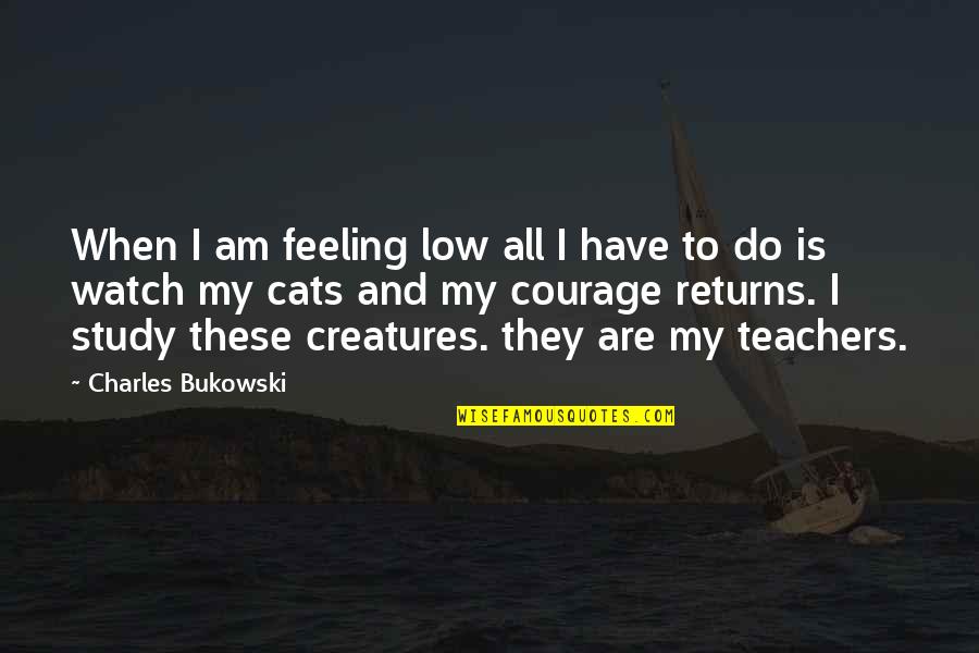 Teachers And Quotes By Charles Bukowski: When I am feeling low all I have