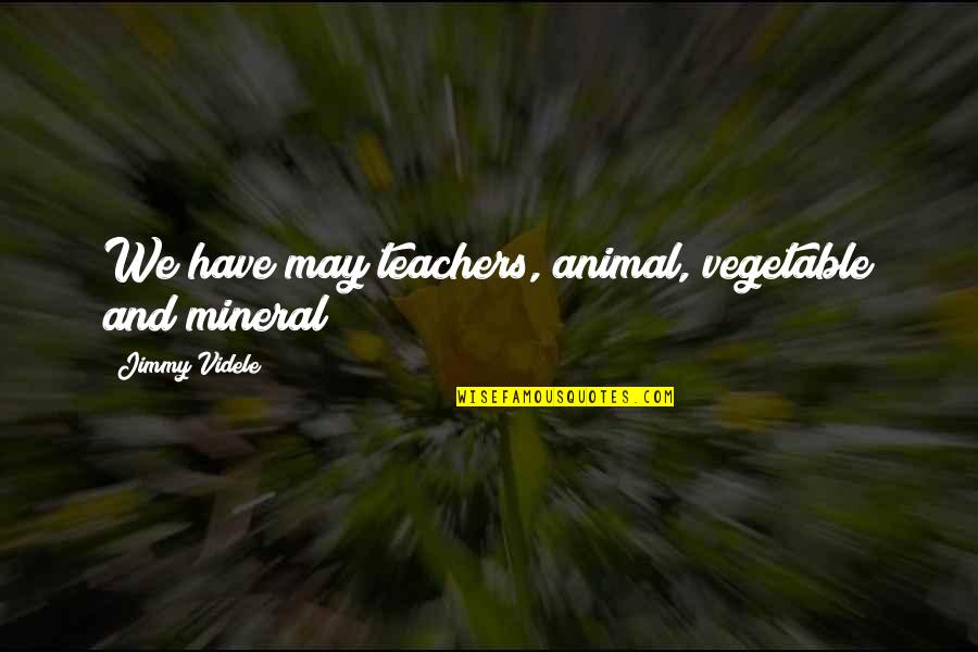 Teachers And Quotes By Jimmy Videle: We have may teachers, animal, vegetable and mineral