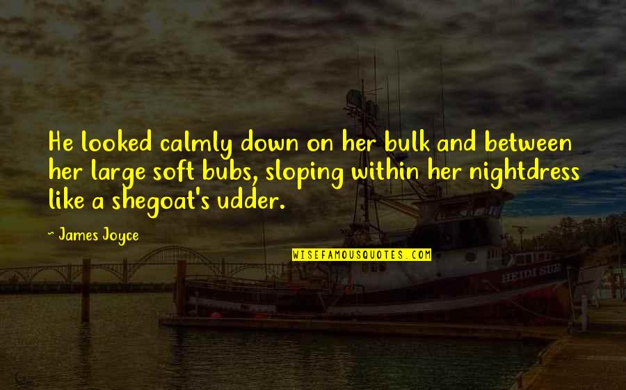 Teachers Assistants Quotes By James Joyce: He looked calmly down on her bulk and