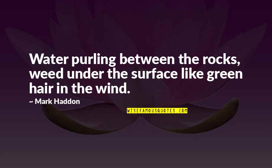Teachers Humorous Quotes By Mark Haddon: Water purling between the rocks, weed under the