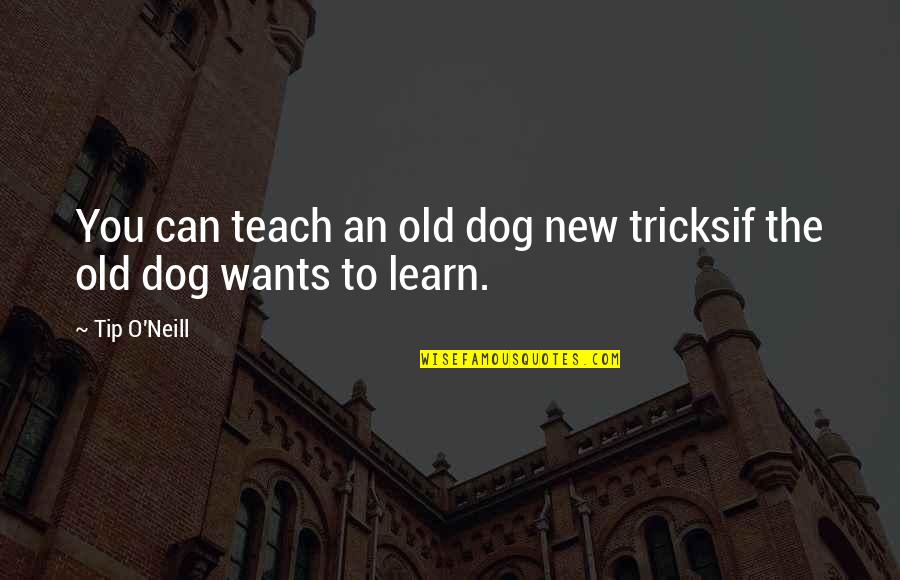 Teaching Assistance Quotes By Tip O'Neill: You can teach an old dog new tricksif