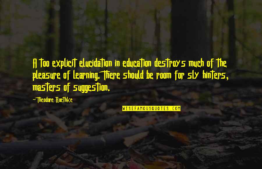 Teaching Education Quotes By Theodore Roethke: A too explicit elucidation in education destroys much