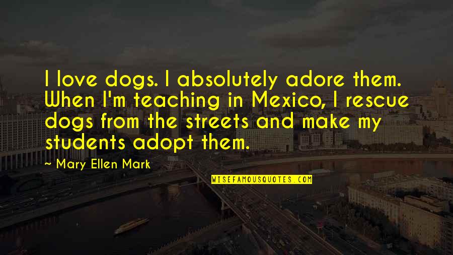 Teaching Love Quotes By Mary Ellen Mark: I love dogs. I absolutely adore them. When