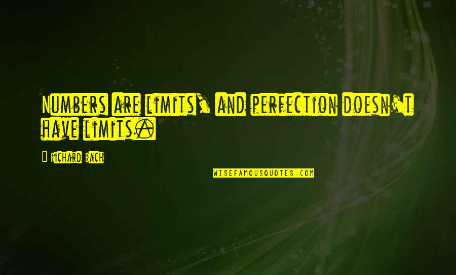 Teaching Mindset Quotes By Richard Bach: Numbers are limits, and perfection doesn't have limits.