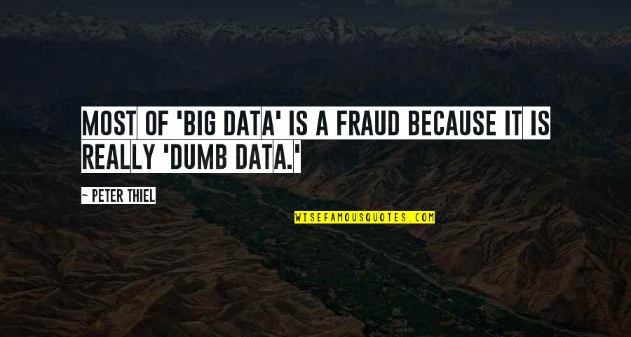 Teaching Professional Development Quotes By Peter Thiel: Most of 'big data' is a fraud because