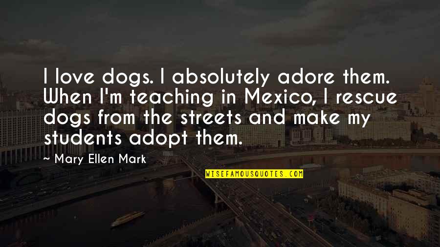 Teaching Students Quotes By Mary Ellen Mark: I love dogs. I absolutely adore them. When