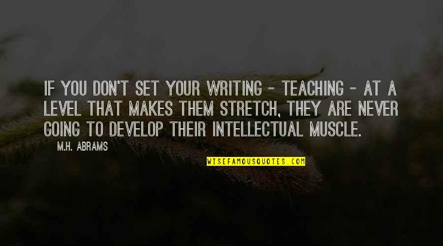 Teaching Writing Quotes By M.H. Abrams: If you don't set your writing - teaching