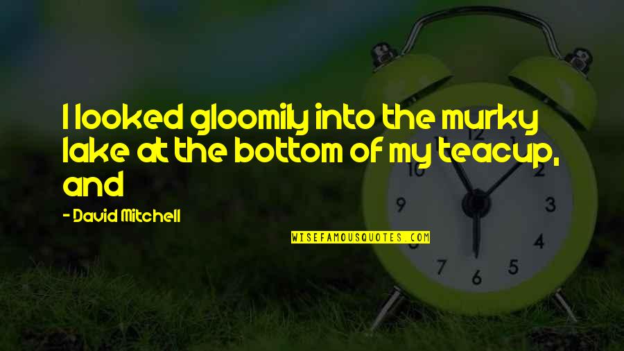 Teacup Quotes By David Mitchell: I looked gloomily into the murky lake at