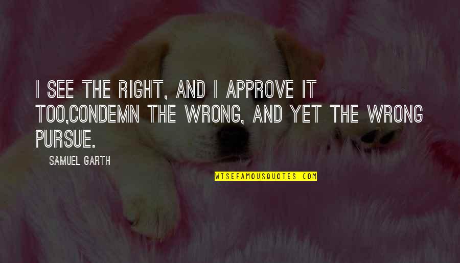 Teada Productions Quotes By Samuel Garth: I see the right, and I approve it