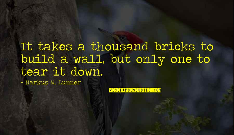 Team Build Up Quotes By Markus W. Lunner: It takes a thousand bricks to build a