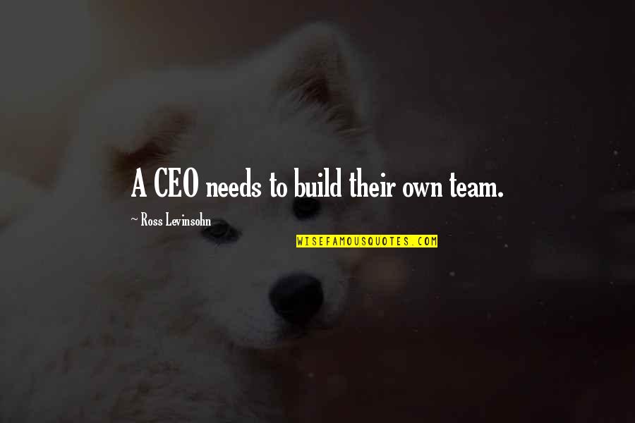 Team Build Up Quotes By Ross Levinsohn: A CEO needs to build their own team.