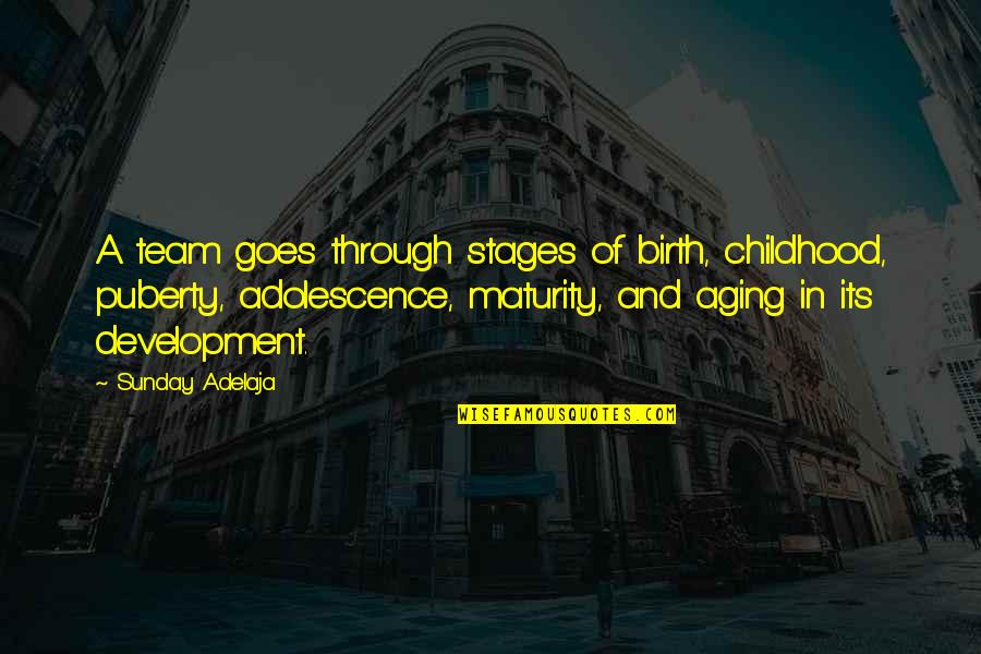 Team Development Quotes By Sunday Adelaja: A team goes through stages of birth, childhood,